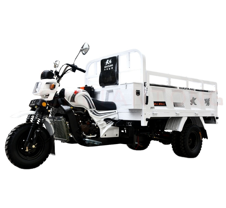 DAYANG Brand Chongqing new carry cargo motorcycle 3 wheels gas engine water-cooled tricycle