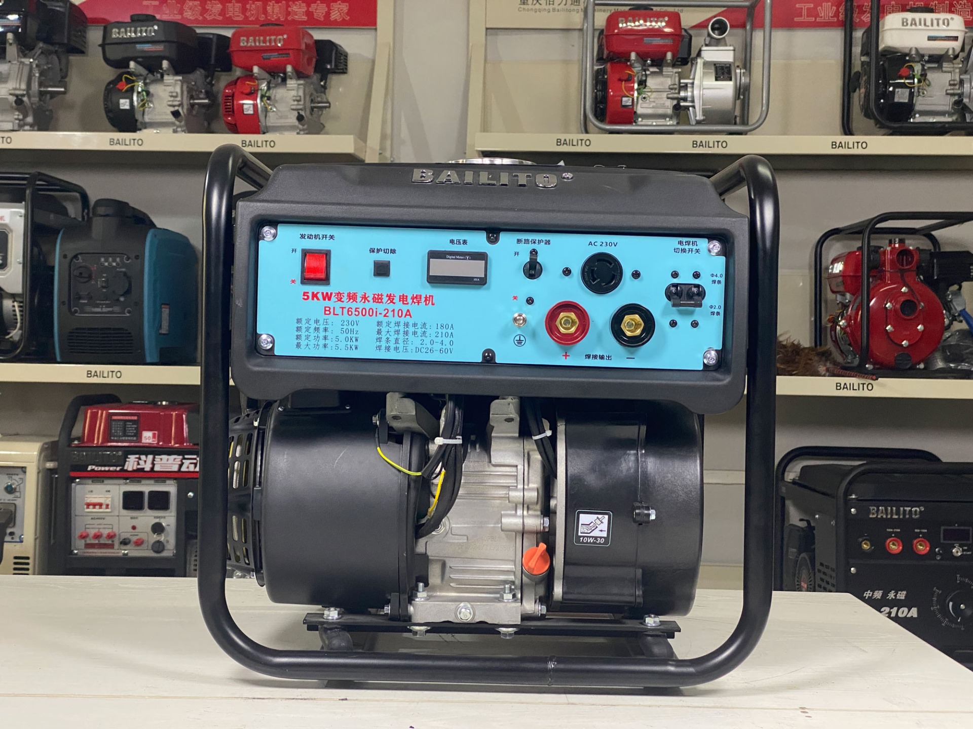 whole home gasoline generator