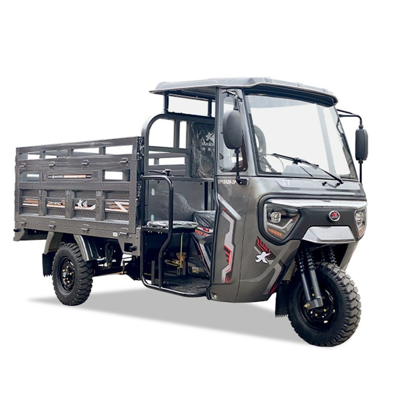 2025 new dayang brand not selling semi cabins cargo tricycle motorcycle models